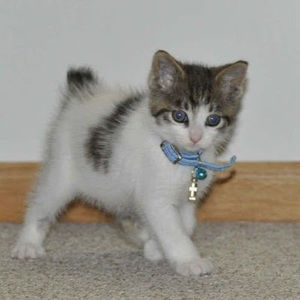 Meet your Posher, Starlett